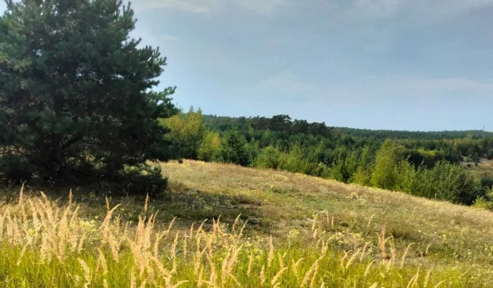 Działka rolna Białków Górny