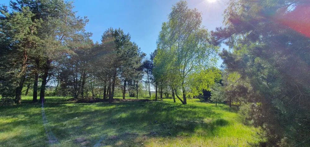 Działka budowlana Tyniec-Kolonia. Zdjęcie 4