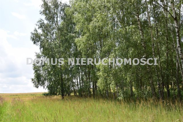 Działka budowlana Zacywilki. Zdjęcie 15