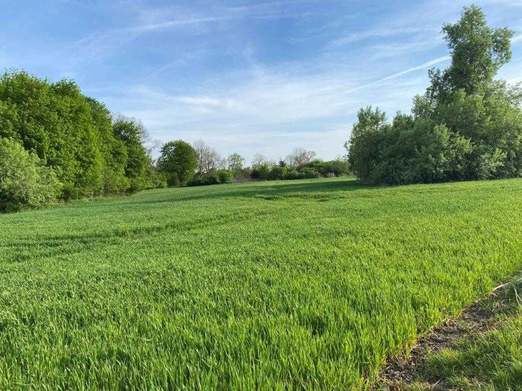 Działka siedliskowa Rucewo. Zdjęcie 4