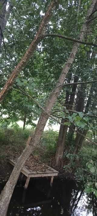 Działka budowlana Popiołki. Zdjęcie 2