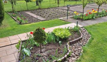 Działka rod Słupca, ul. Róża