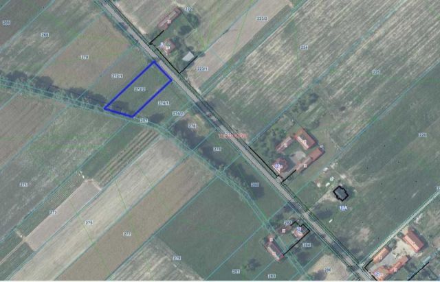 Działka budowlana Helenów. Zdjęcie 1