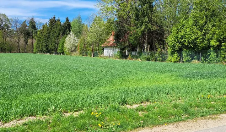 Działka rolno-budowlana Zadroże