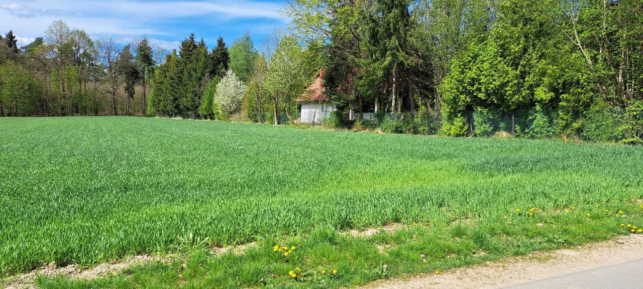 Działka rolno-budowlana Zadroże. Zdjęcie 1