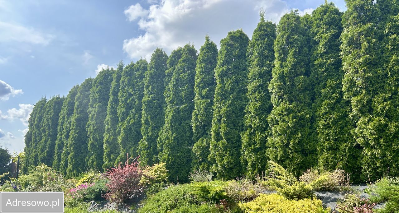 dom wolnostojący, 6 pokoi Rębiechowo. Zdjęcie 2