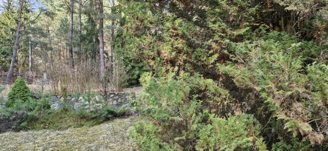 Działka rekreacyjna Malinówka. Zdjęcie 4