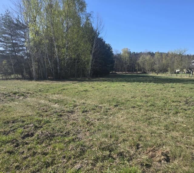 Działka budowlana Wołomin Mironowe Górki. Zdjęcie 4