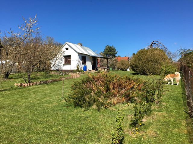 Działka rod Koszalin, ul. Holenderska. Zdjęcie 1