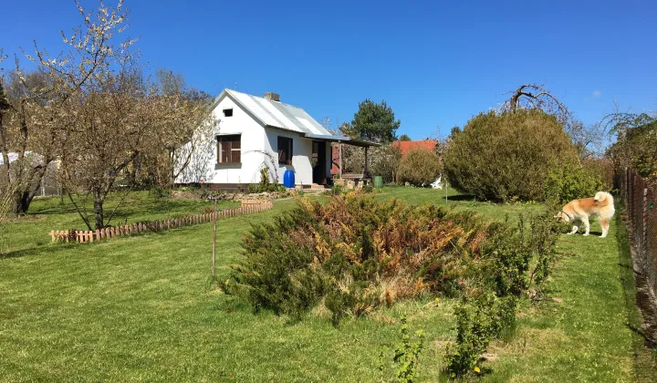 Działka rod Koszalin, ul. Holenderska