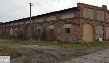 Hala/magazyn Krzyżanowo. Zdjęcie 1
