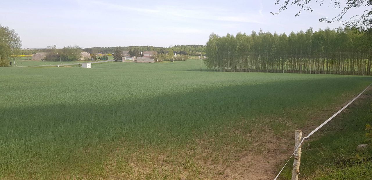 Działka inwestycyjna Orzełek. Zdjęcie 5