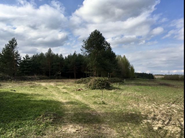 Działka budowlana Chmielnik, ul. Leśna. Zdjęcie 1