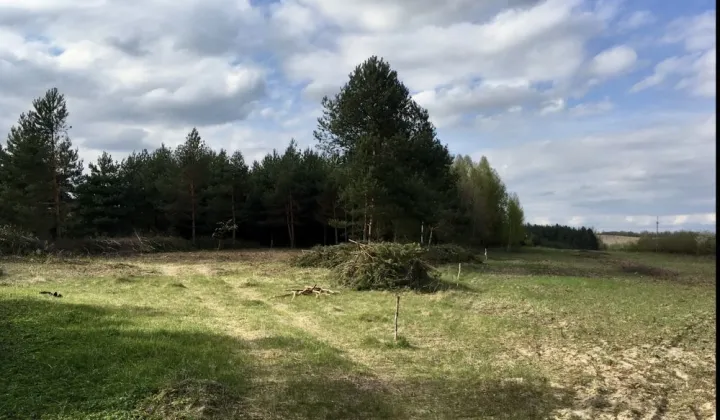 Działka budowlana Chmielnik, ul. Leśna