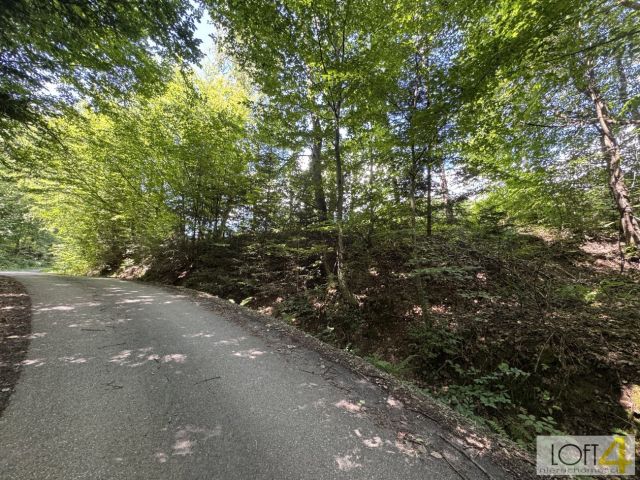 Działka budowlana Paleśnica. Zdjęcie 3