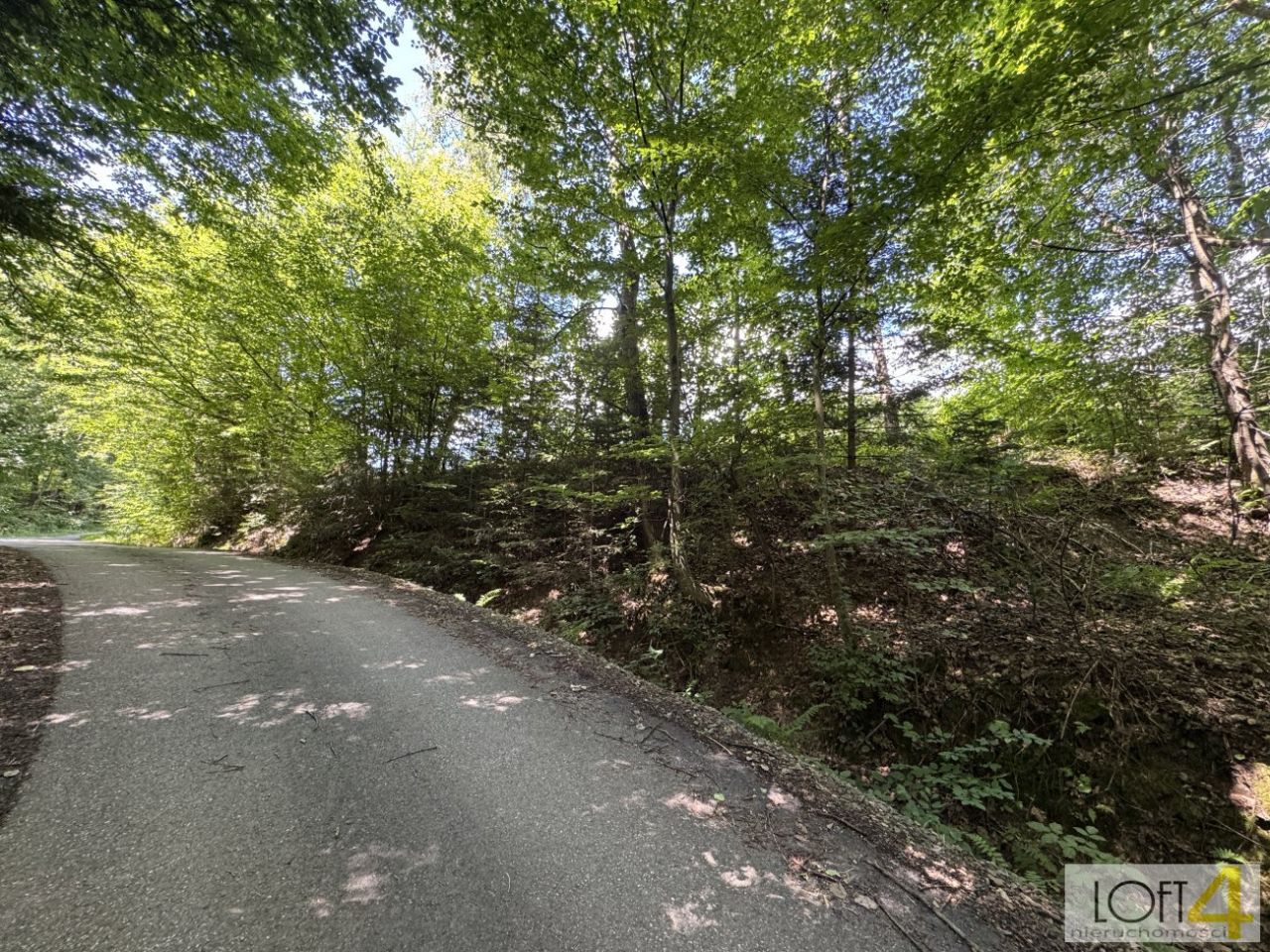 Działka budowlana Paleśnica. Zdjęcie 3