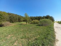 Działka siedliskowa Nowy Targ. Zdjęcie 3