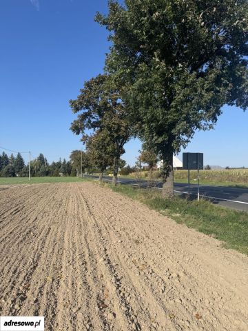 Działka inwestycyjna Zamysłowo, ul. Wrocławska. Zdjęcie 1