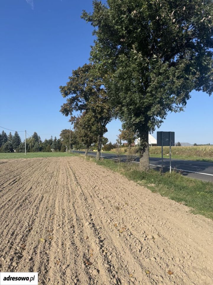 Działka inwestycyjna Zamysłowo, ul. Wrocławska. Zdjęcie 1
