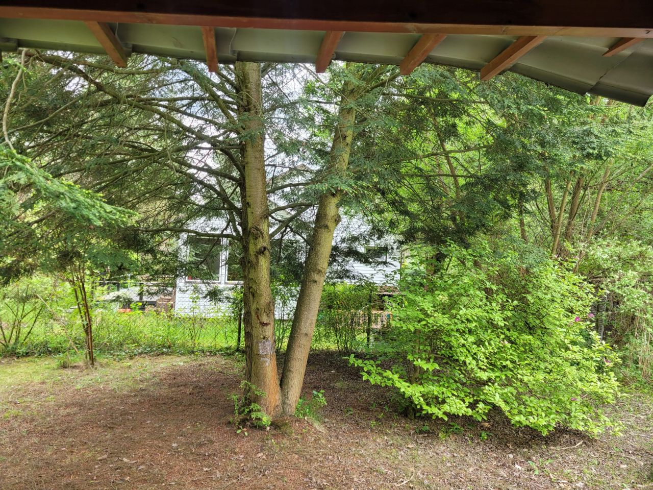 Działka rekreacyjna Popowo-Parcele, ul. Środkowa. Zdjęcie 15