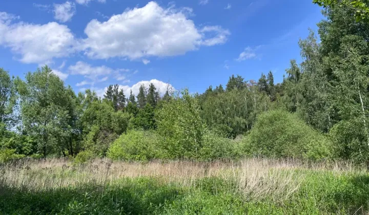 Działka rolno-budowlana Sierzchów, ul. Słoneczna