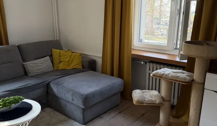 Mieszkanie 2-pokojowe Pyskowice