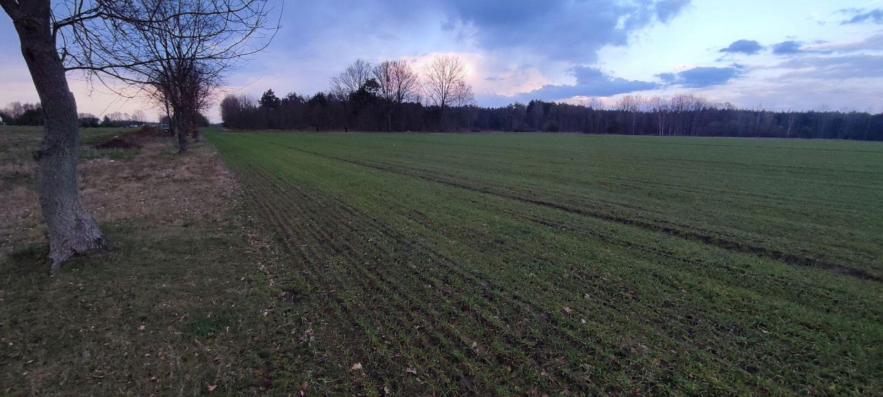 Działka budowlana Cygów. Zdjęcie 3