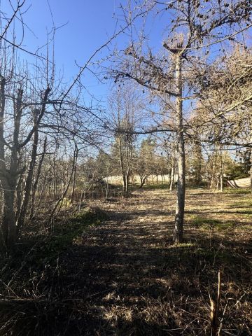 Działka rekreacyjna Białystok Wygoda, ul. Władysława Wysockiego. Zdjęcie 1