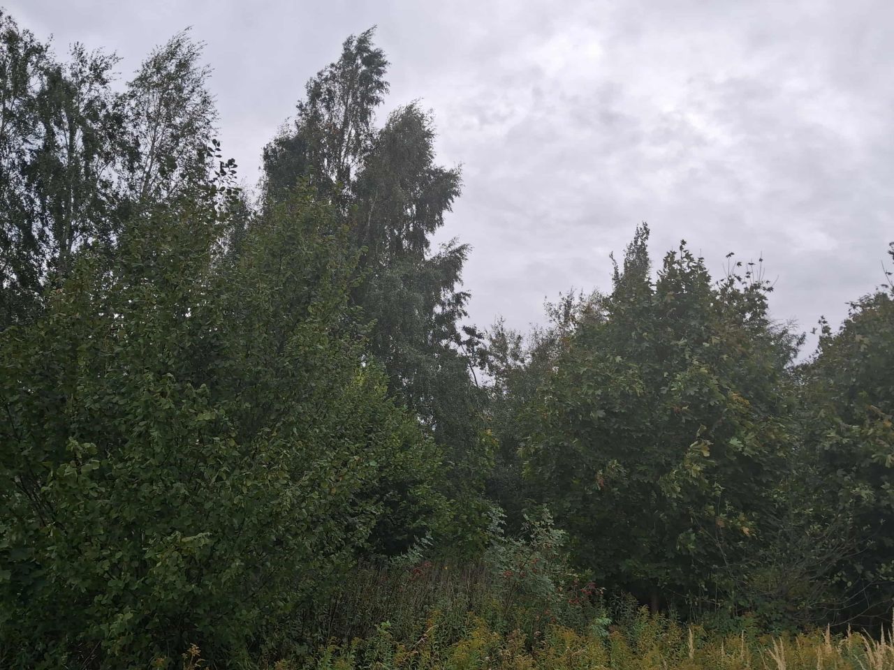 Działka budowlana Popielów, ul. Podstawie. Zdjęcie 2