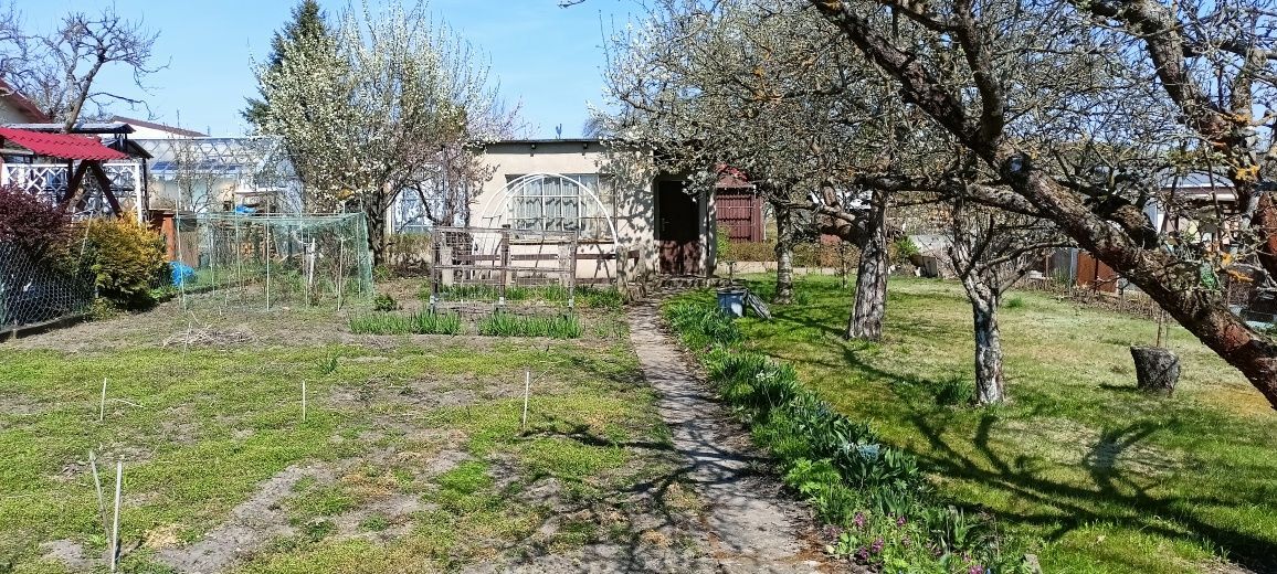 Działka rod Piła. Zdjęcie 1