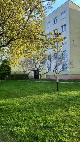 Mieszkanie 4-pokojowe Kielce Świętokrzyskie, os. Na Stoku. Zdjęcie 15