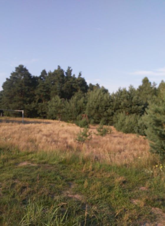 Działka budowlana Pieńki-Strzyże, ul. Sosnowa. Zdjęcie 4