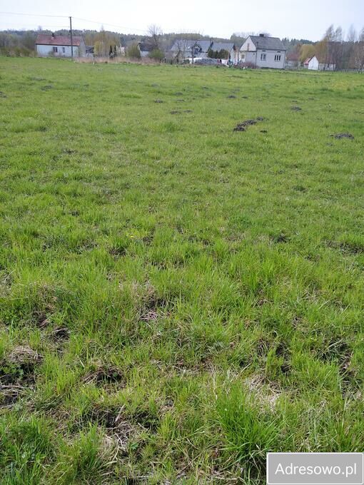 Działka budowlana Brzeście. Zdjęcie 2