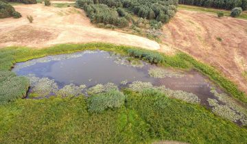 Działka rolna Mosina