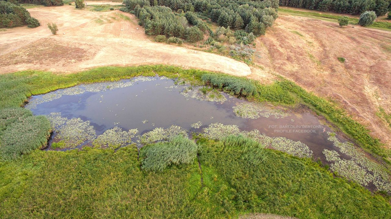 Działka rolna Mosina. Zdjęcie 2
