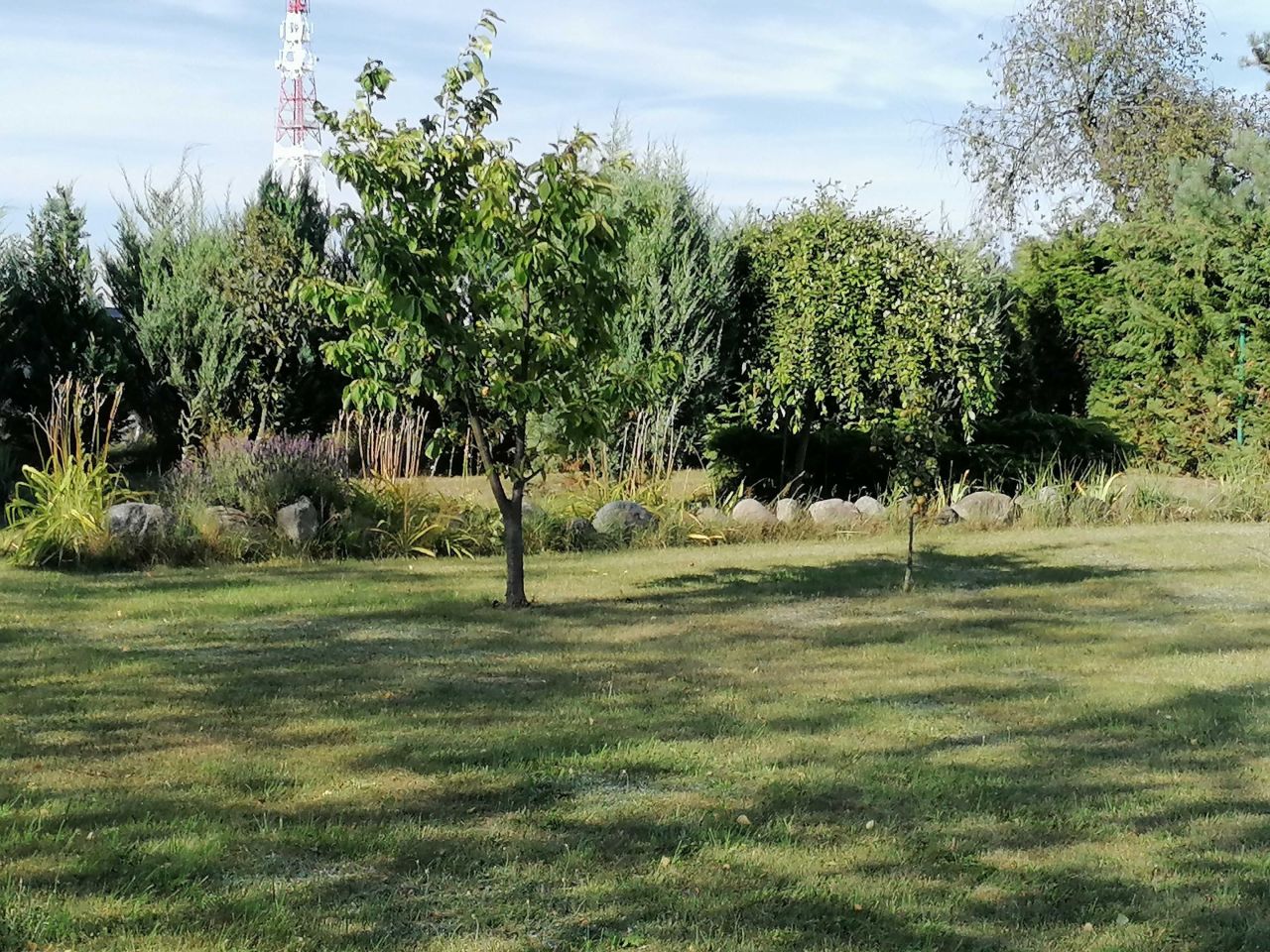 Działka budowlana Józefowo. Zdjęcie 7