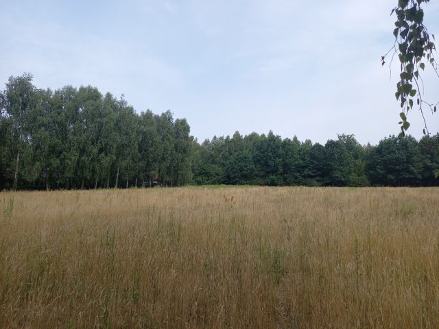 Działka budowlana Korzeniówka. Zdjęcie 10