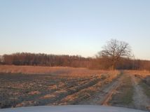 Działka inwestycyjna Lutynia. Zdjęcie 1