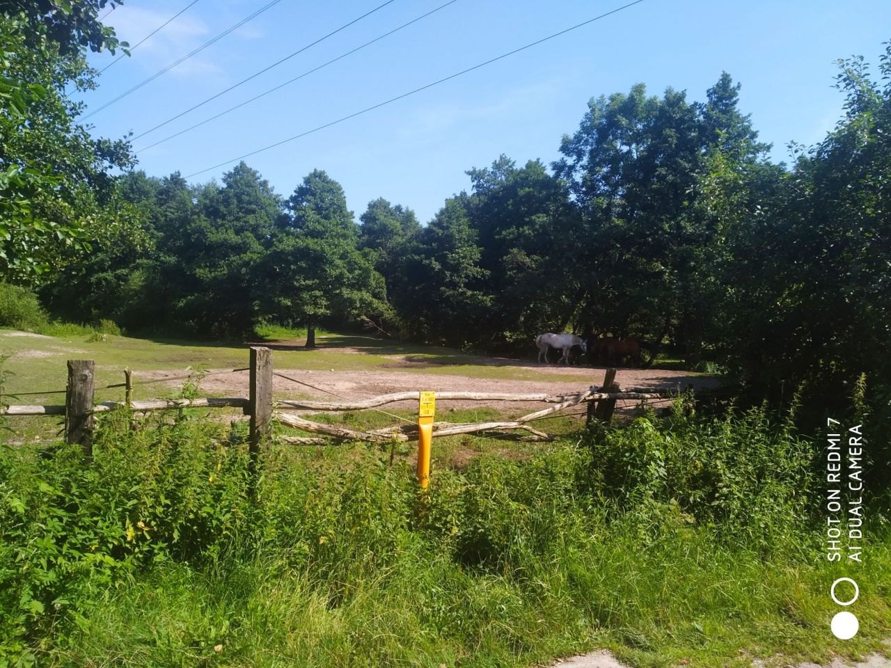 Działka rekreacyjna Reda Betlejem, ul. Rzeczna. Zdjęcie 7