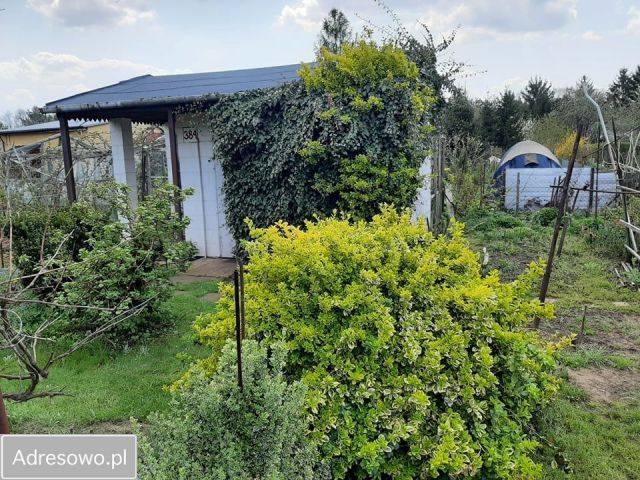 Działka rekreacyjna Warszawa Targówek, ul. Głębocka. Zdjęcie 1