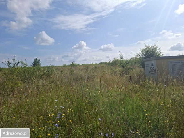 Działka budowlana Mierzyn. Zdjęcie 1