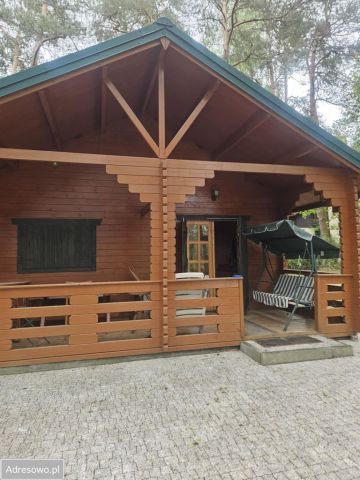 Działka rekreacyjna Tresta. Zdjęcie 1