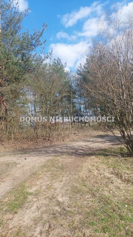 Działka inwestycyjna Grzmiąca. Zdjęcie 5