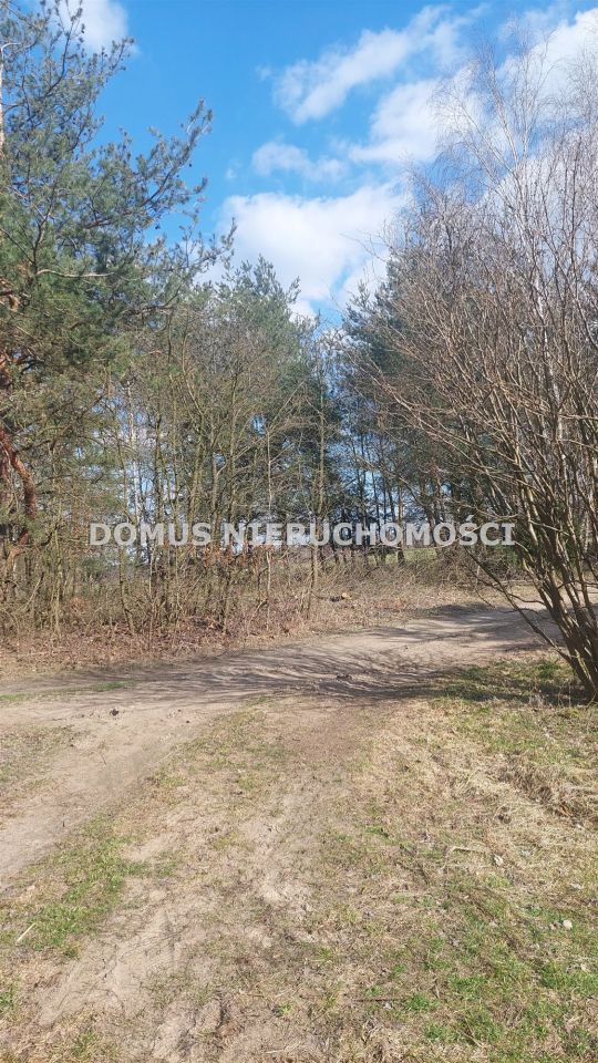 Działka inwestycyjna Grzmiąca. Zdjęcie 5