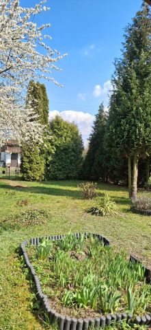 Działka rod Lubliniec, ul. Strzelecka. Zdjęcie 1