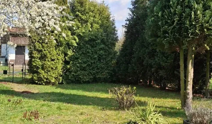 Działka rod Lubliniec, ul. Strzelecka