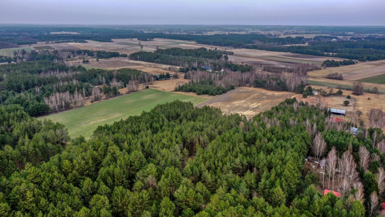 Działka rolno-budowlana Chrzczanka Włościańska. Zdjęcie 7