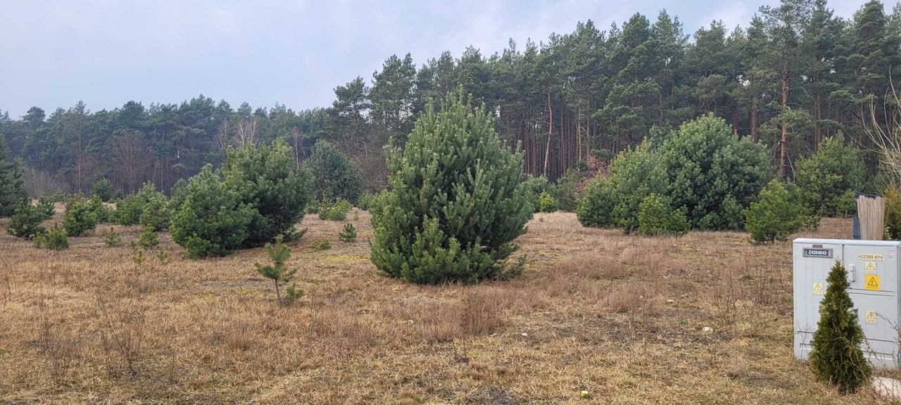 Działka rolno-budowlana Palaty. Zdjęcie 4