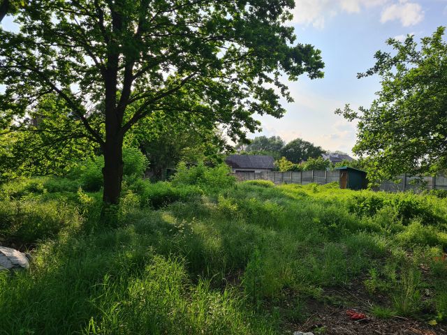 Działka budowlana Żabieniec, ul. Polna. Zdjęcie 1