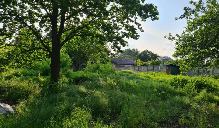 Działka budowlana Żabieniec, ul. Polna